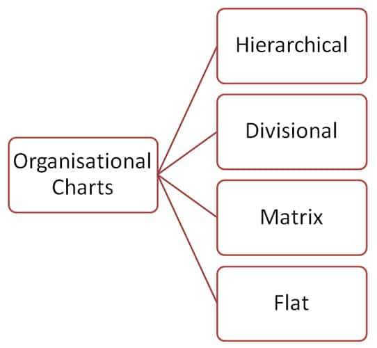 Organizational Chart Types