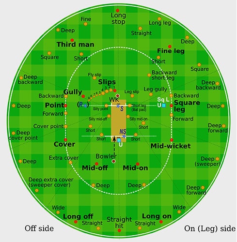 Round Diagram of Cricket Fielding Positions