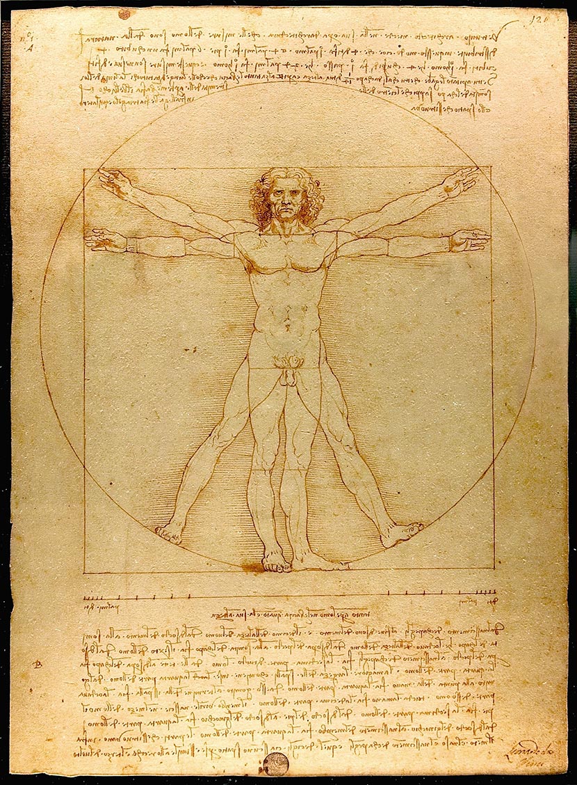 Vitruvian Man by Leonado Da Vinci