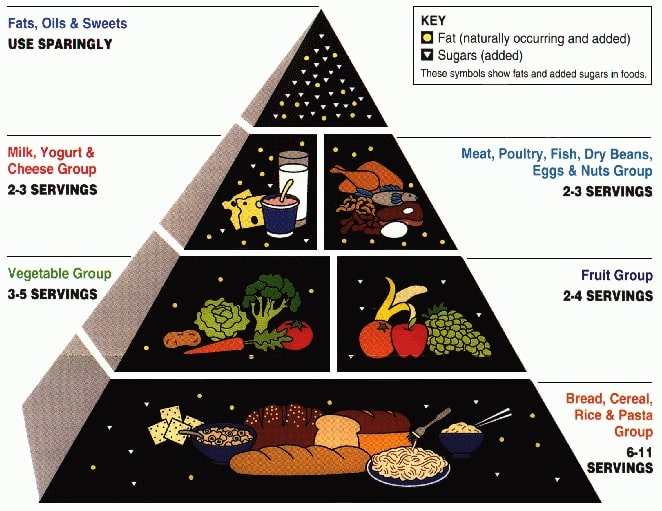 USDA's Food Pyramid