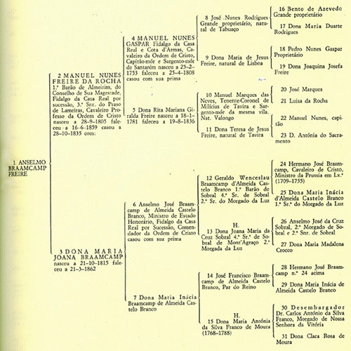 pedigree chart example