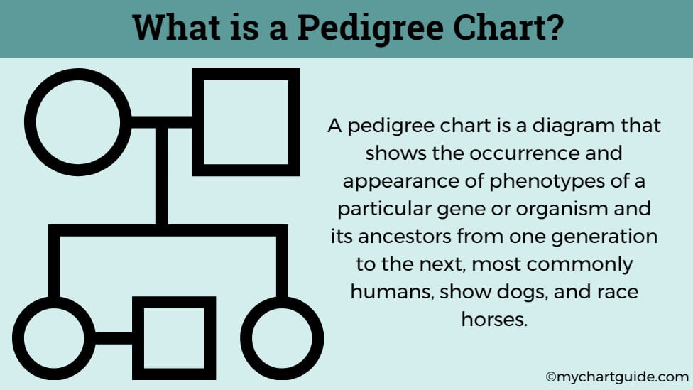 what is a pedigree chart